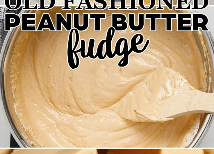 Delicious homemade peanut butter fudge on a plate