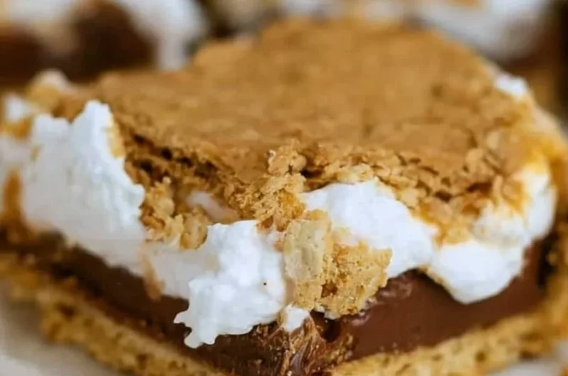 Deliciously baked S'mores Bars with chocolate, marshmallows, and graham crackers.